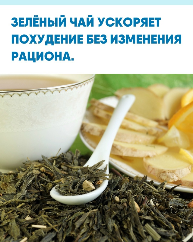 Учёные выяснили, что зелёный чай способен снижать вес ?...