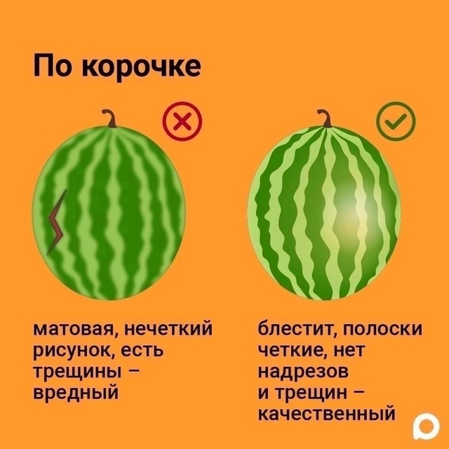 Как правильно выбрать арбуз.😎