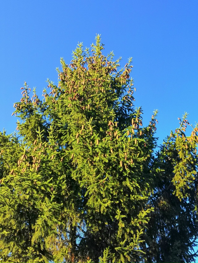 Чудесный день 2 ноября......