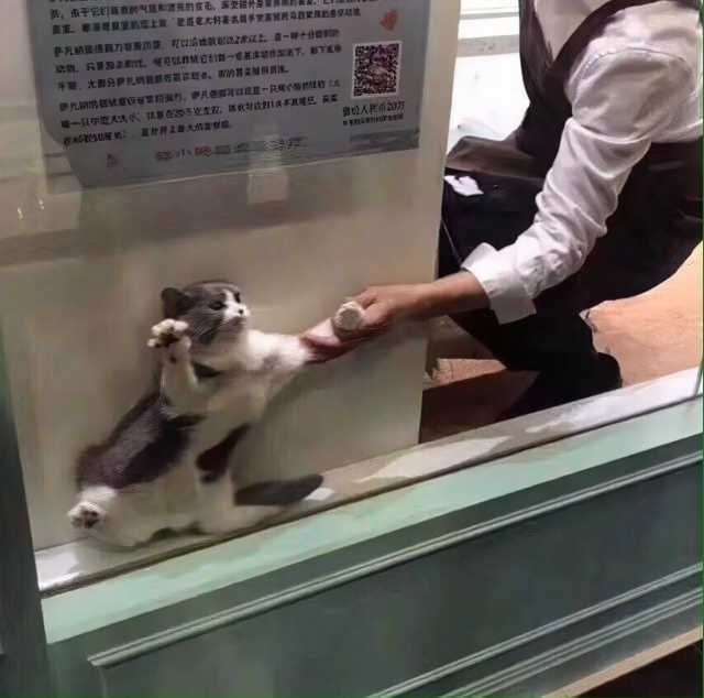 Это я застрял в субъективных рамках восприятия реальн?...