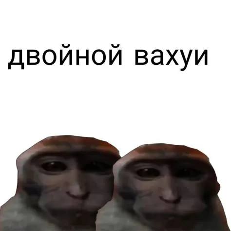 Англичанка и физрук, когда узнали, что спустя 10 лет после школы я хожу в зал и учу англ ещё и за св