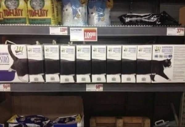 Когда работаешь в зоомагазине и тебе скучно)