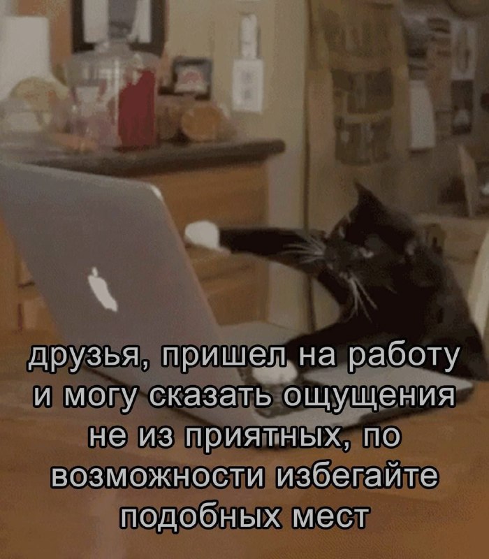 Ночная подборочка
Спать, режим