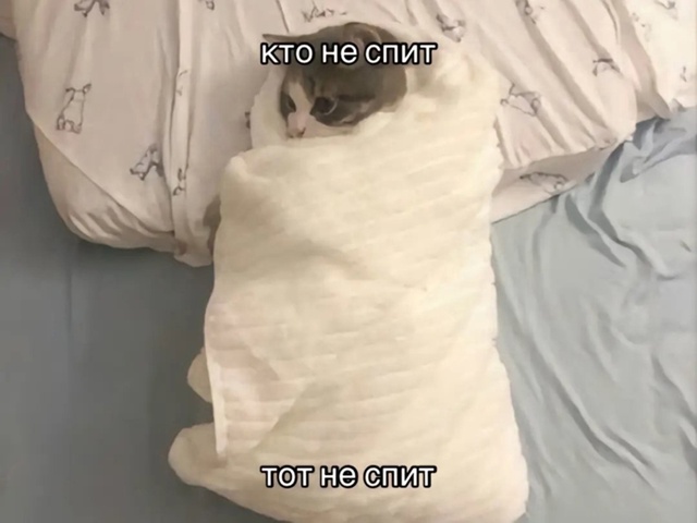 Мудрая порция советов