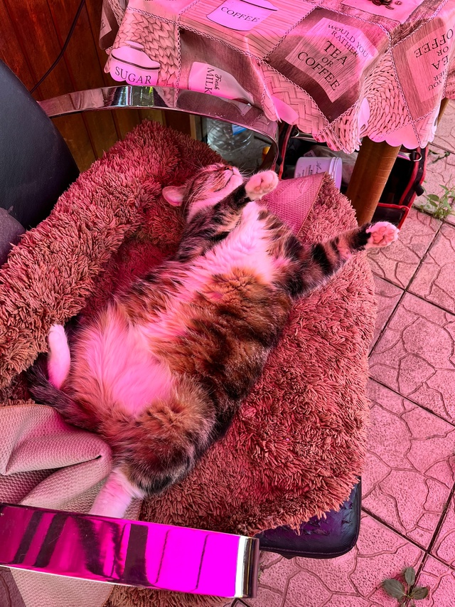 Наши счастья❤️