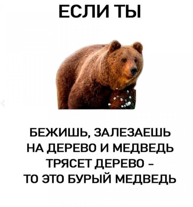 Запоминаем короче