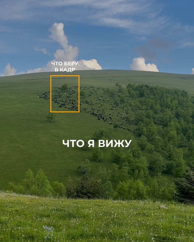 Главное, на чем вы фокусируете своё внимание. И так во в...
