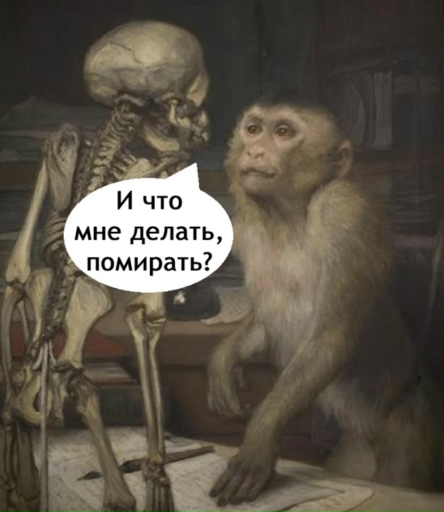 Что за жиза!