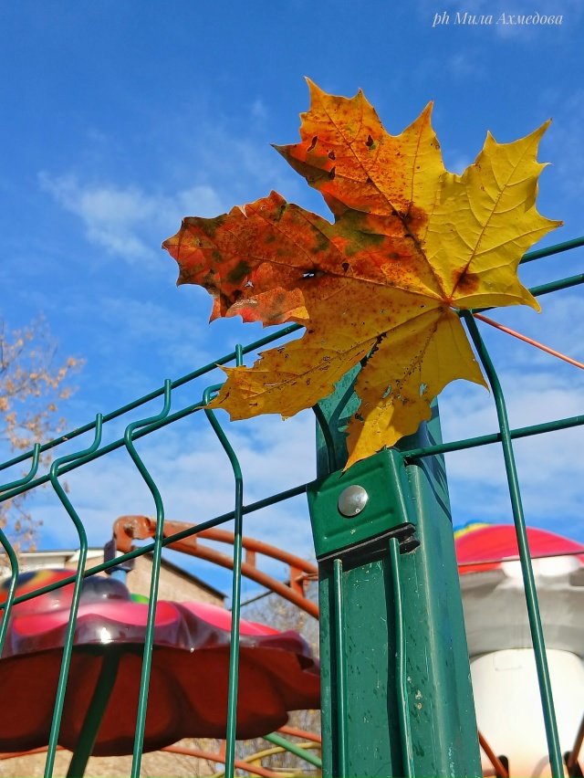 Городской парк.🍁🎡🎠
Октябрь.