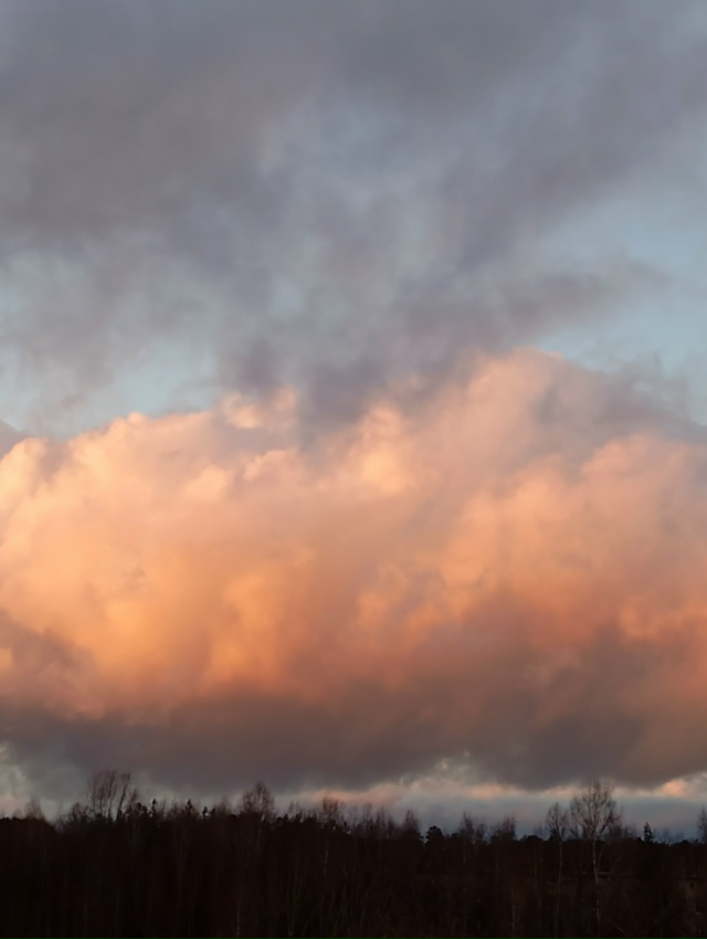 В ноябрьском закате - вся палитра уходящей осени...(25.11.25...