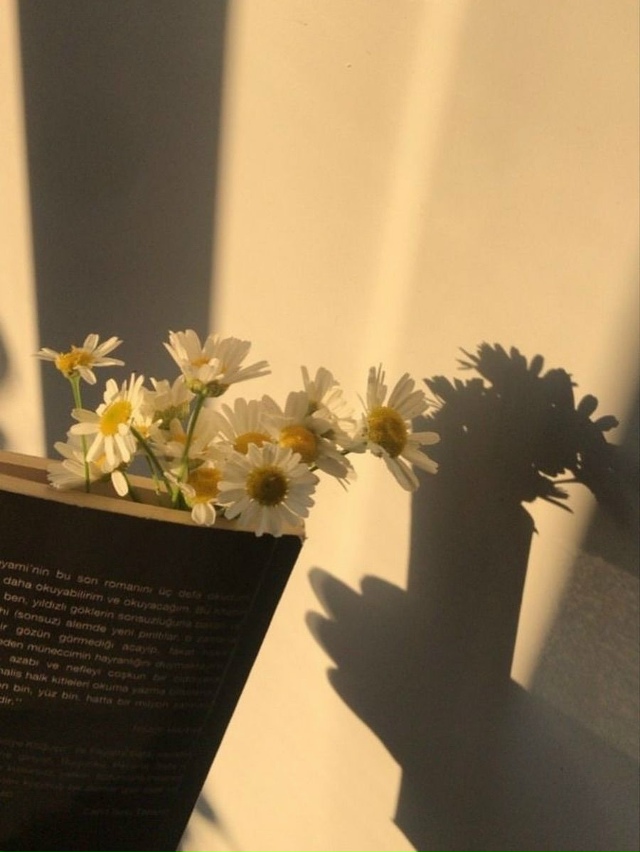 «Хорошие книги пахнут временем и теплом.»
💬 Что читае?...