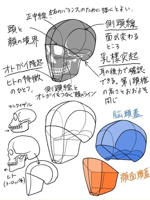Голова
Sketch
Tutorial