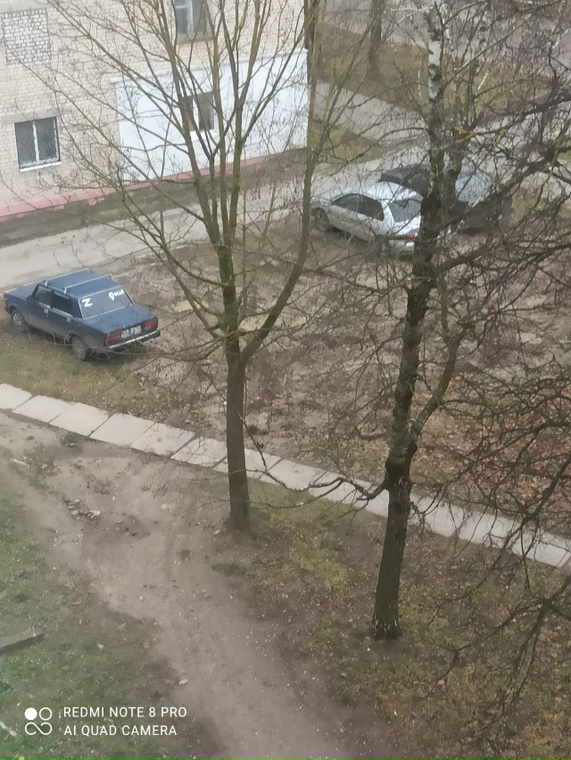 С недавних пор наблюдаю из окна , как постепенно неболь...