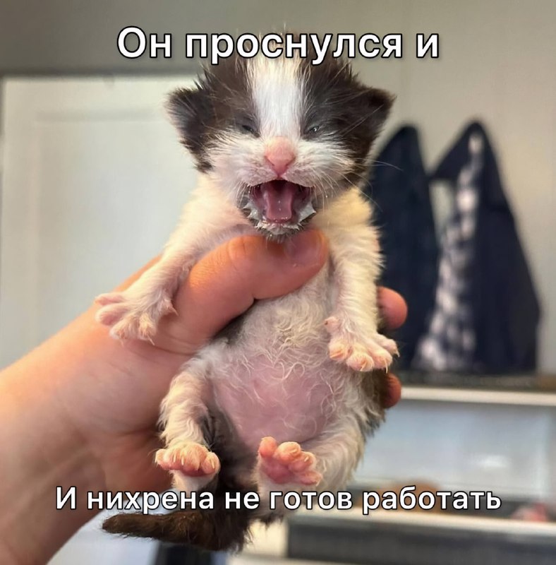 Ты?