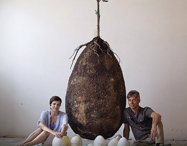 Дерево вместо надгробного камня.
Стать деревом после с...