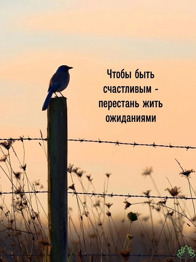 Жить в радости