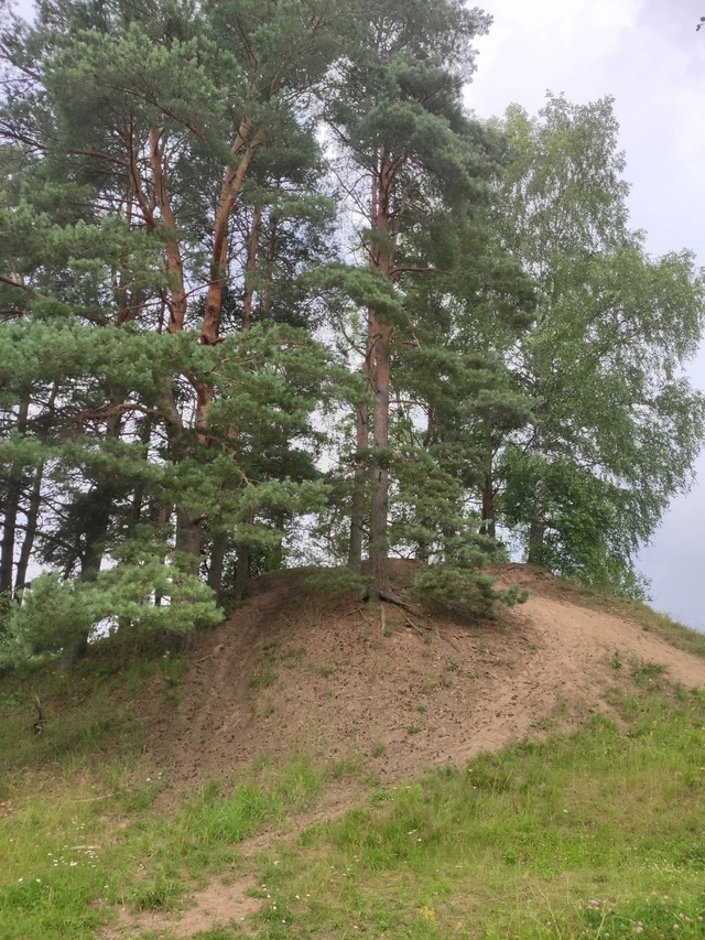 Еще один перерыв в работе: поездка в Кулотино. Прогулял...