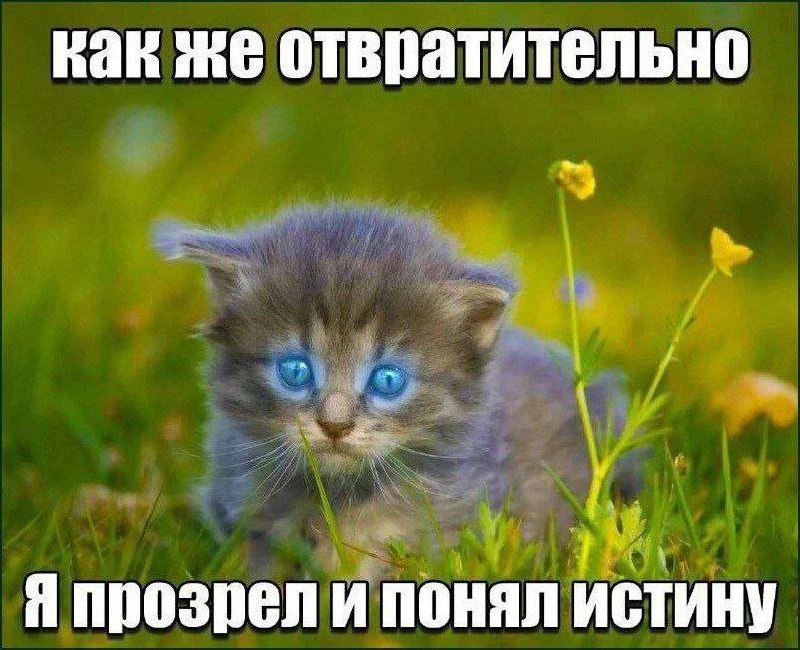 Утренняя подборочка