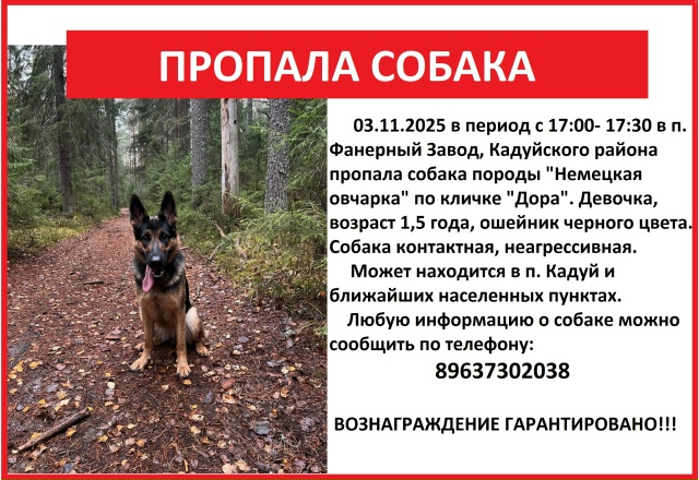 UPD: найдена
Помогите , пожалуйста, найти нашу собаку, л?...