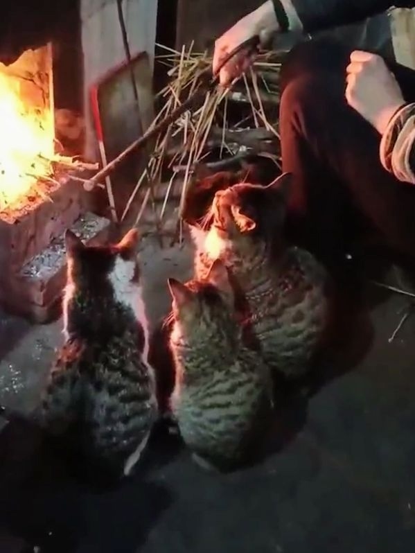 Самый уютный вечерок у камина