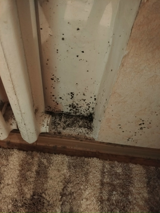 😔 Вот к чему приводит отсутствие отопления...
Космона?...