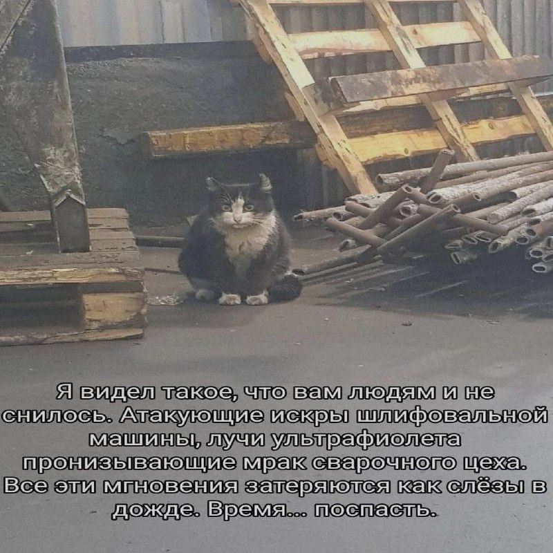 Ночная подборочка
Спать, режим