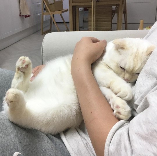 😍💕