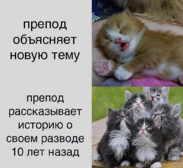 Ночная подборочка
Выходные, не спим