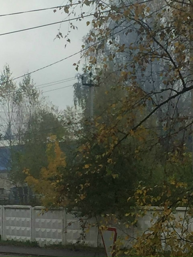 Здравствуйте!
Можно как-то повлиять на руководство АО ...