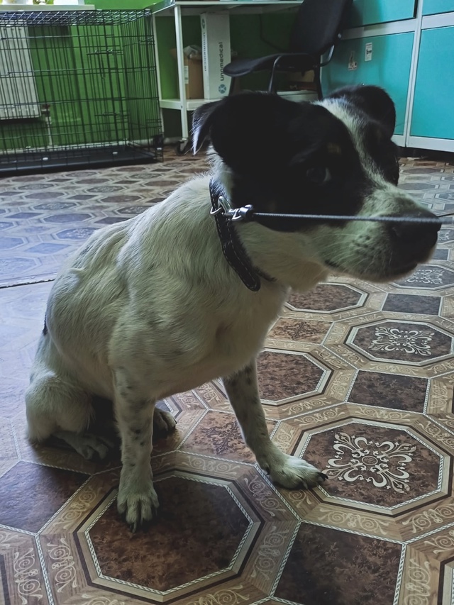 Пропустите, пожалуйста
🆘️🆘️🆘️🆘️🆘️🆘️🆘️🆘️?...
