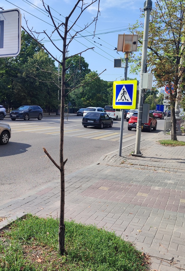 🗣️Скоро на проспекте Революции совсем не останется л...
