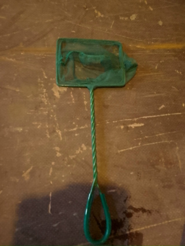 Анонимно
Продам
1.водонагреватель 400 руб.
2.фильтр 300 ру...