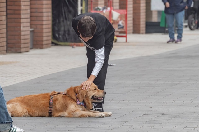 В Госдуме хотят ввести новые запреты для владельцев со...