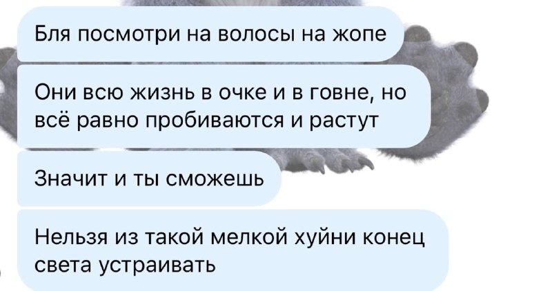 Подруга: не сдавайся, всё будет хорошо😘
Лучшая подруга: