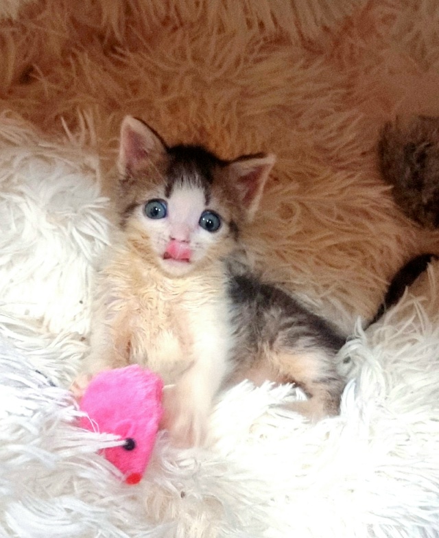 Добрый вечер!