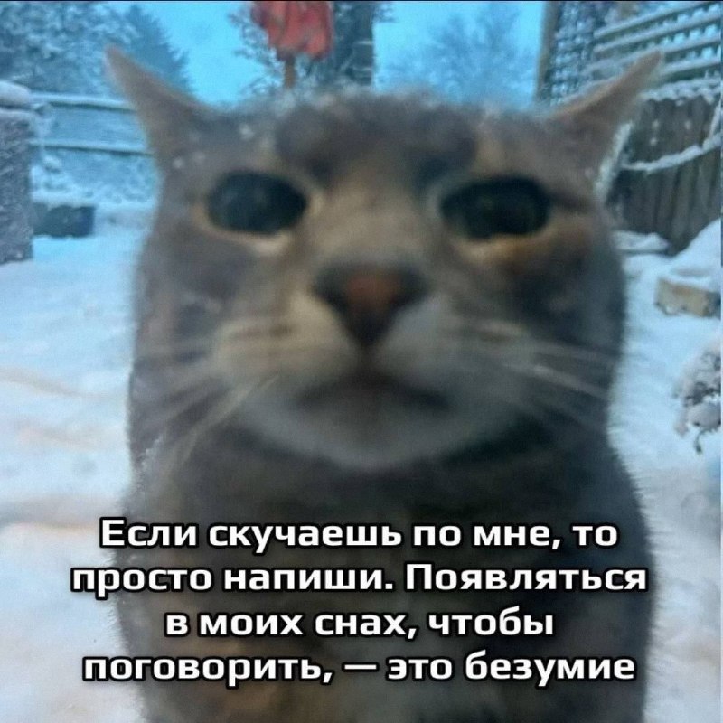 Ночная подборочка
Выходные, не спим