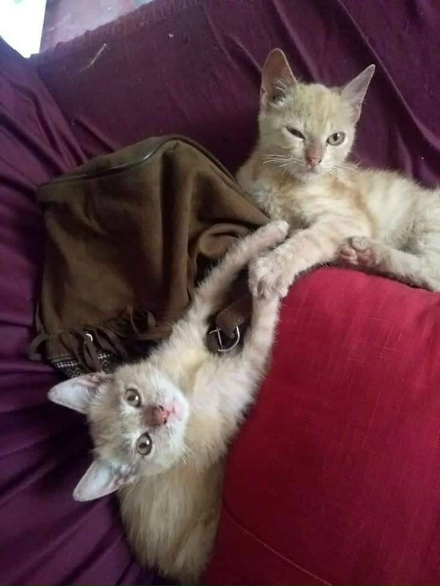 Хорошо, что на нашей Земле, есть ещё такие Добрые люди ??...