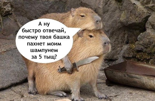 Мужики не делайте так, это опасно