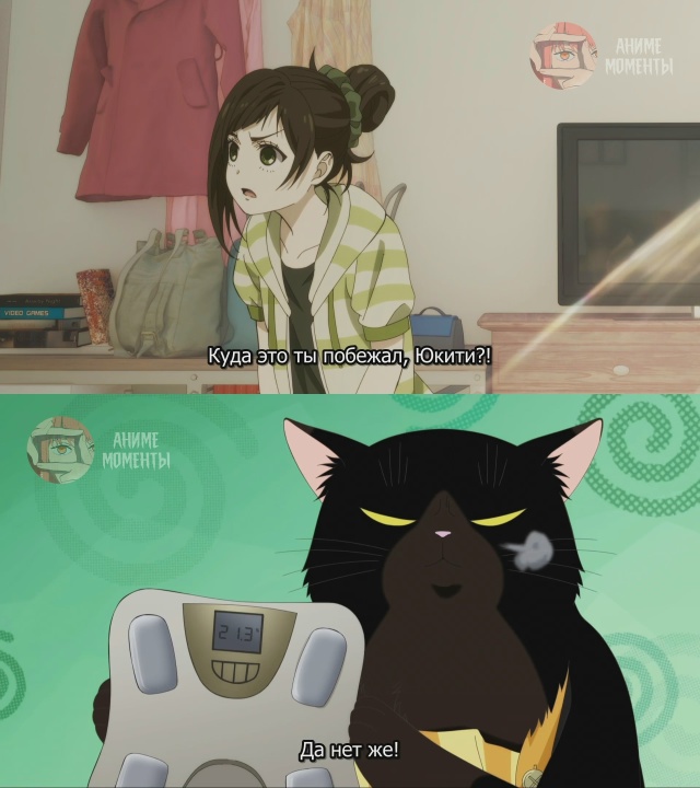 Кот, мастер на все лапки, сегодня снова грустит 🎬 2 сер?...