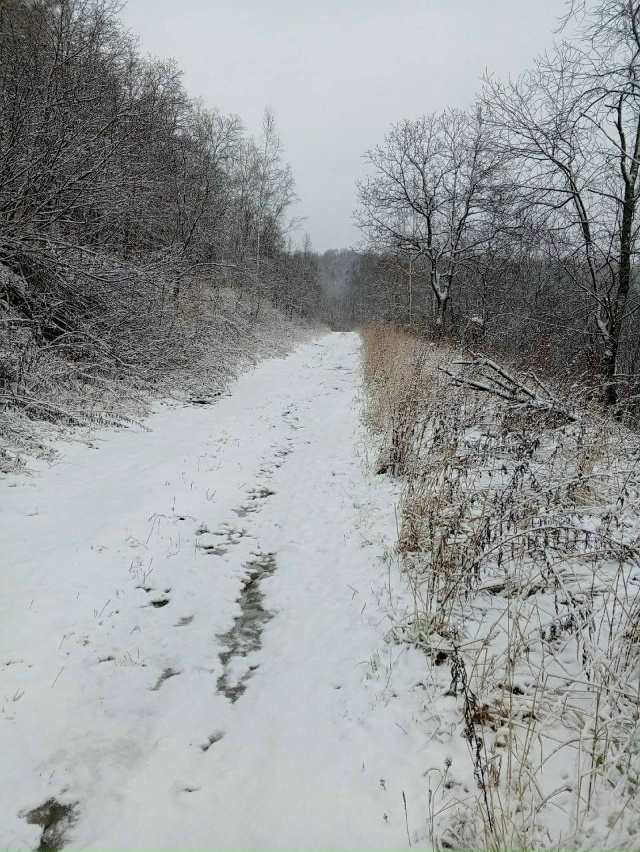 ❄️В горах Ишимбайского района местами уже лежит снег
...