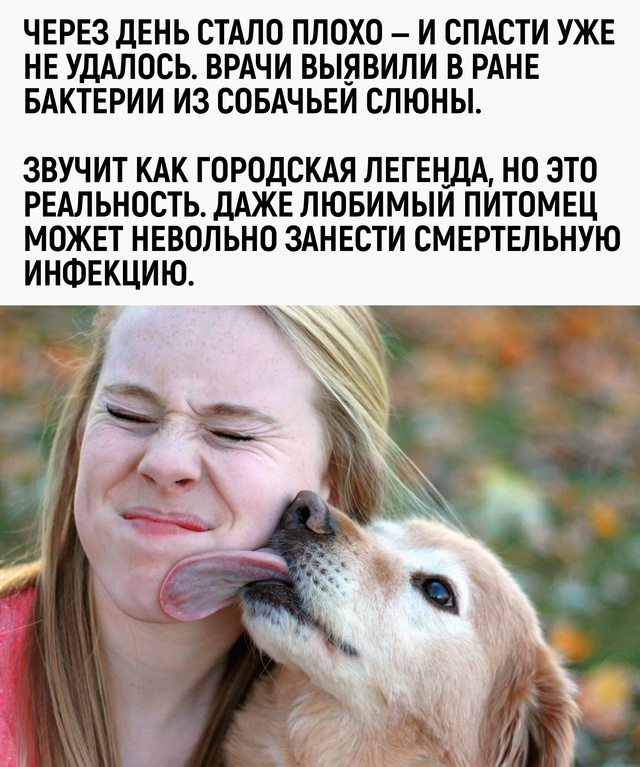 Звучит как городская легенда, но это реальность. Даже л...