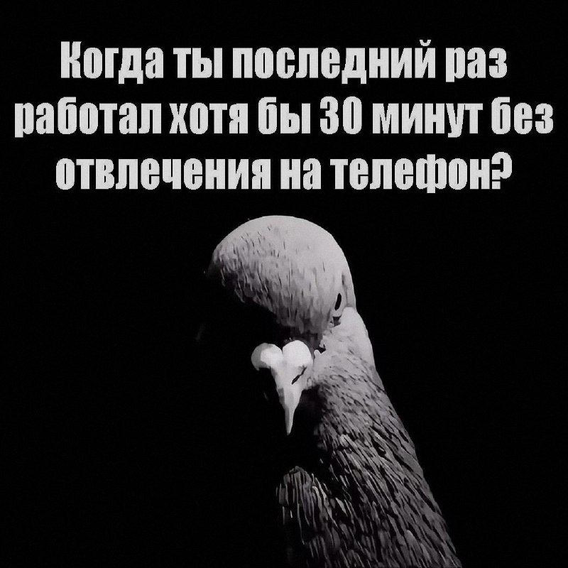 Ночная подборочка
Спать, режим