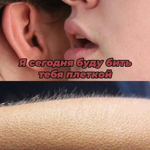 Безумные приколы
Новое исследование подтверждает, что...