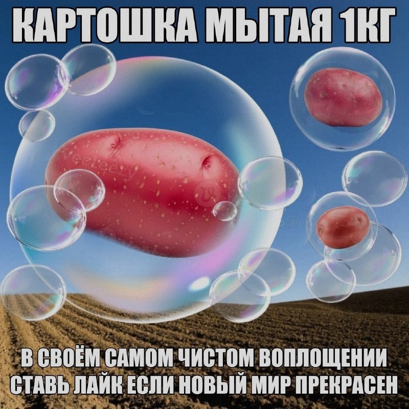 Ночная подборочка
Выходные, не спим