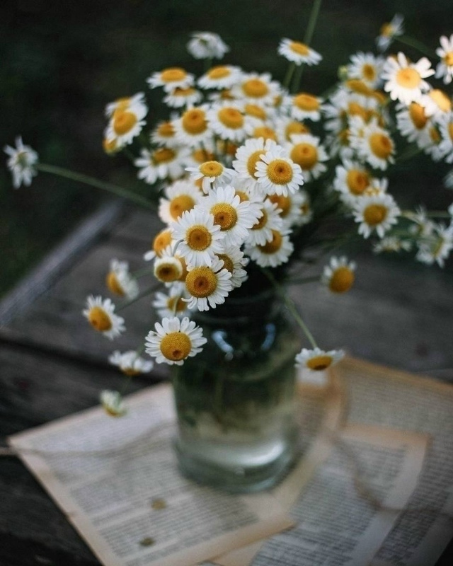 забудь все плохое.
начни с чистого листа.