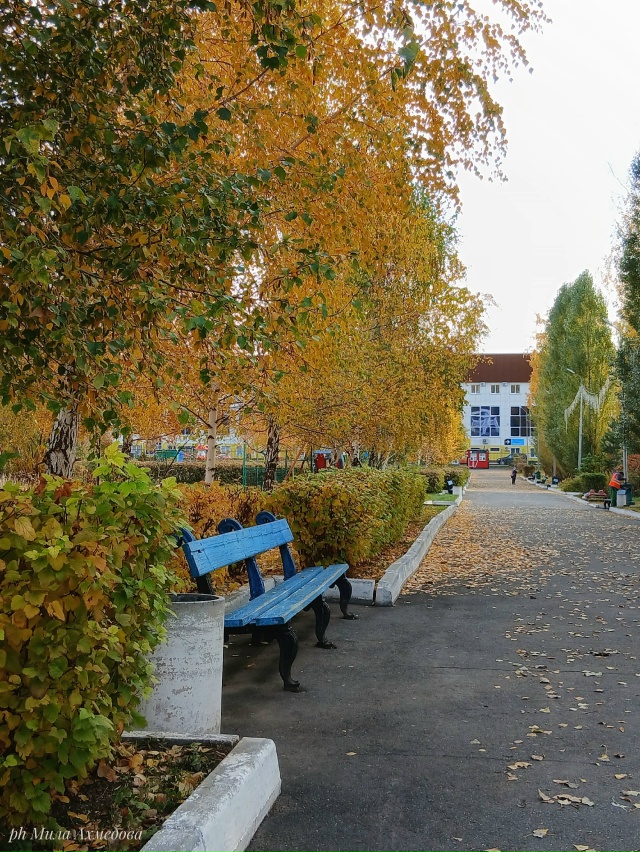 Городской парк.🍁🎡🎠
Октябрь.