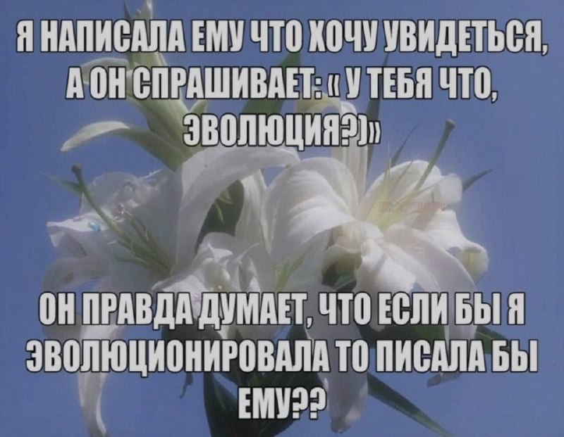 Ночная подборочка
Спать, режим