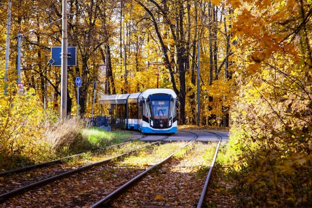 Золотая осень прощается с Нами, следующая остановка зи...