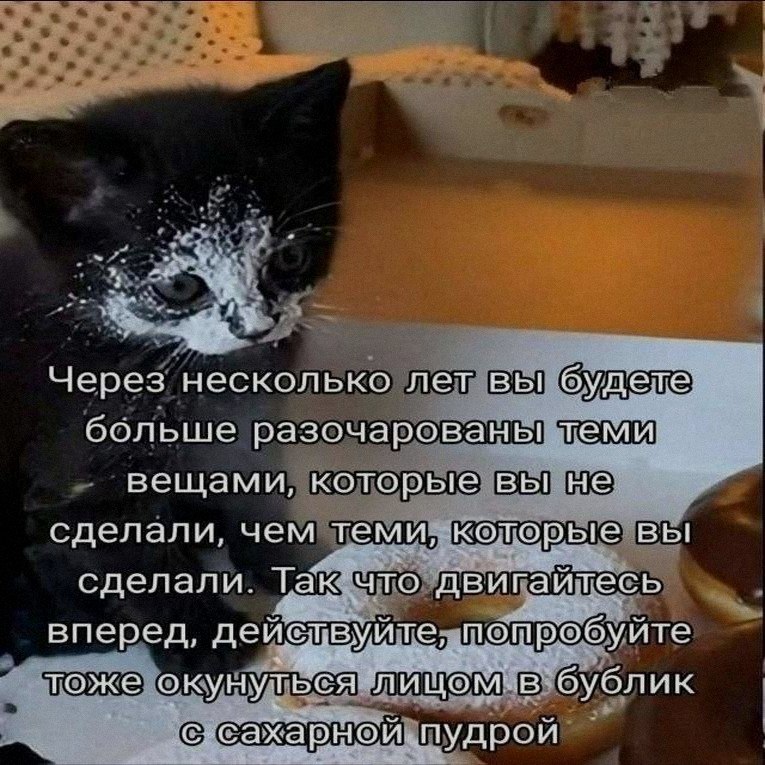 Ночная подборочка
Колобок умрет на 1:24:49