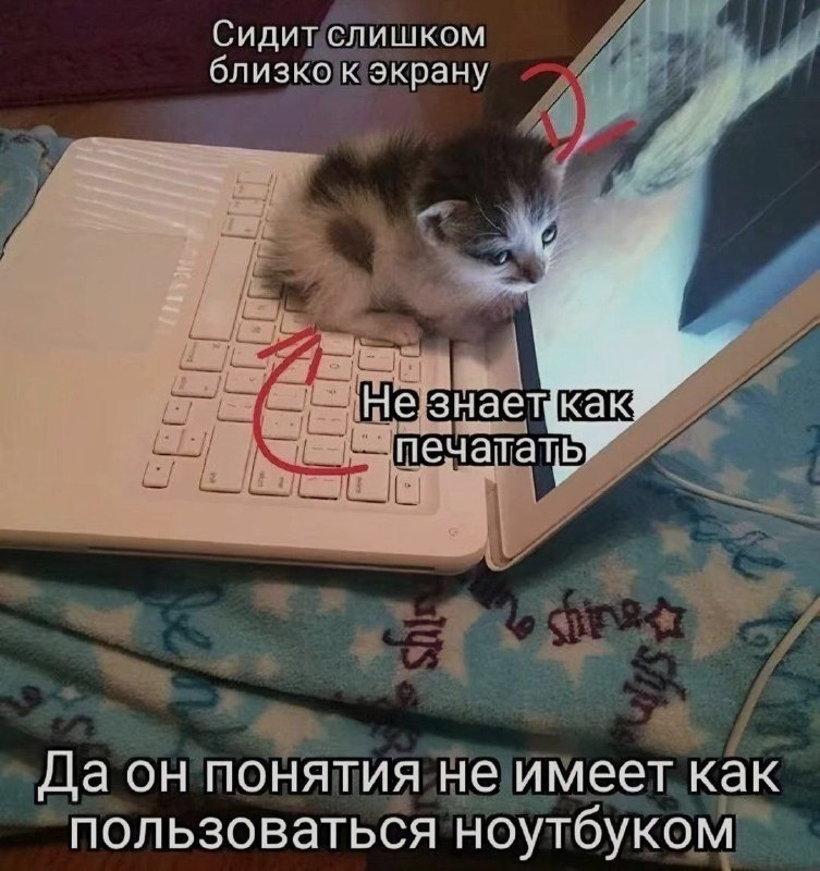 Ночная подборочка
Спать, режим